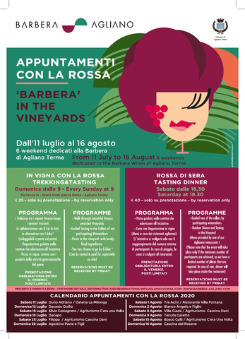 Agliano Terme | Appuntamenti con la Rossa - Barbera in the Vineyards